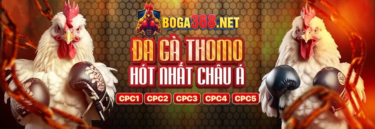 Hỗ trợ giải quyết sự cố đăng nhập 95vn